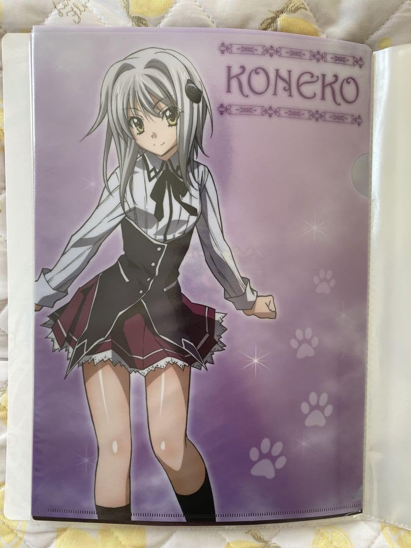 ハイスクール クリアファイル グッズ ハイスクールdd ハイスクールd×d