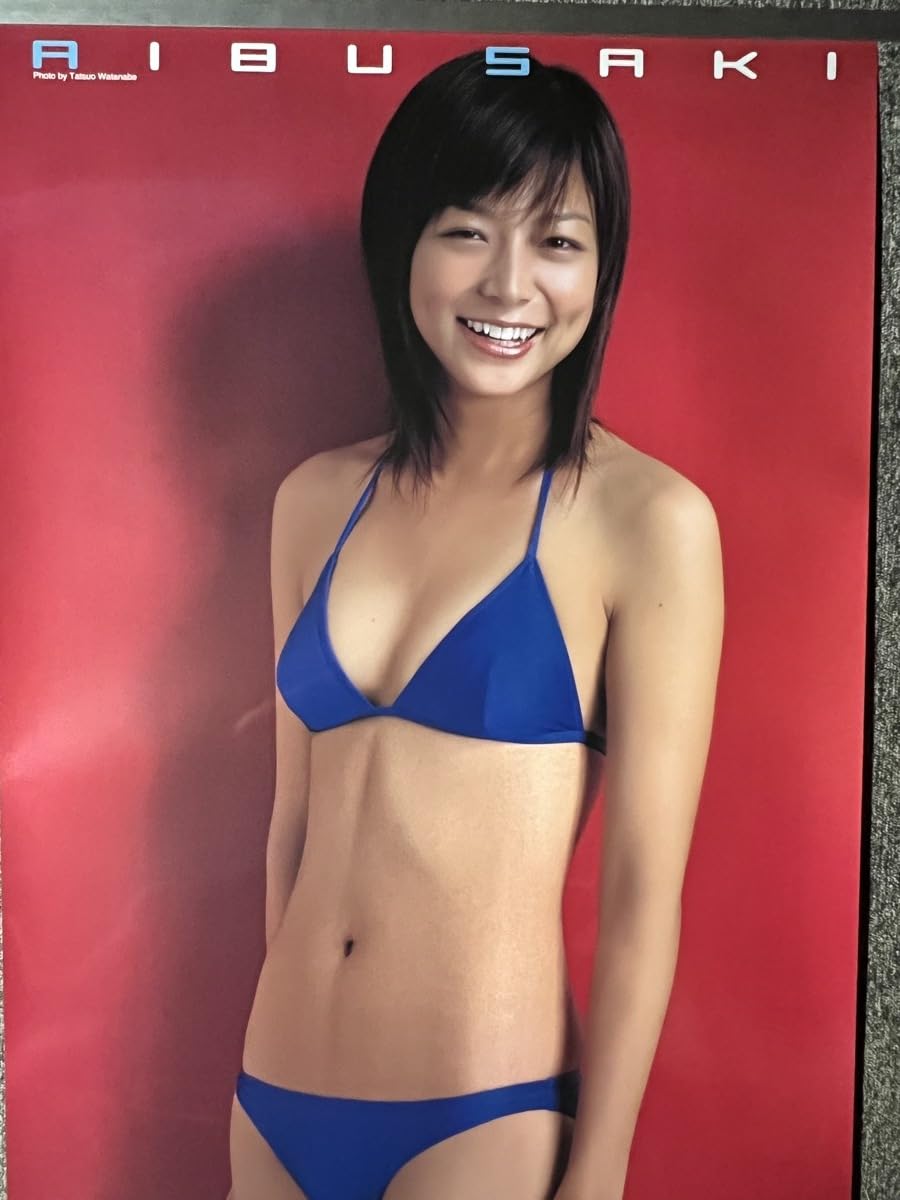 相武紗季 週刊プレイボーイ 等身大 水着 ポスター