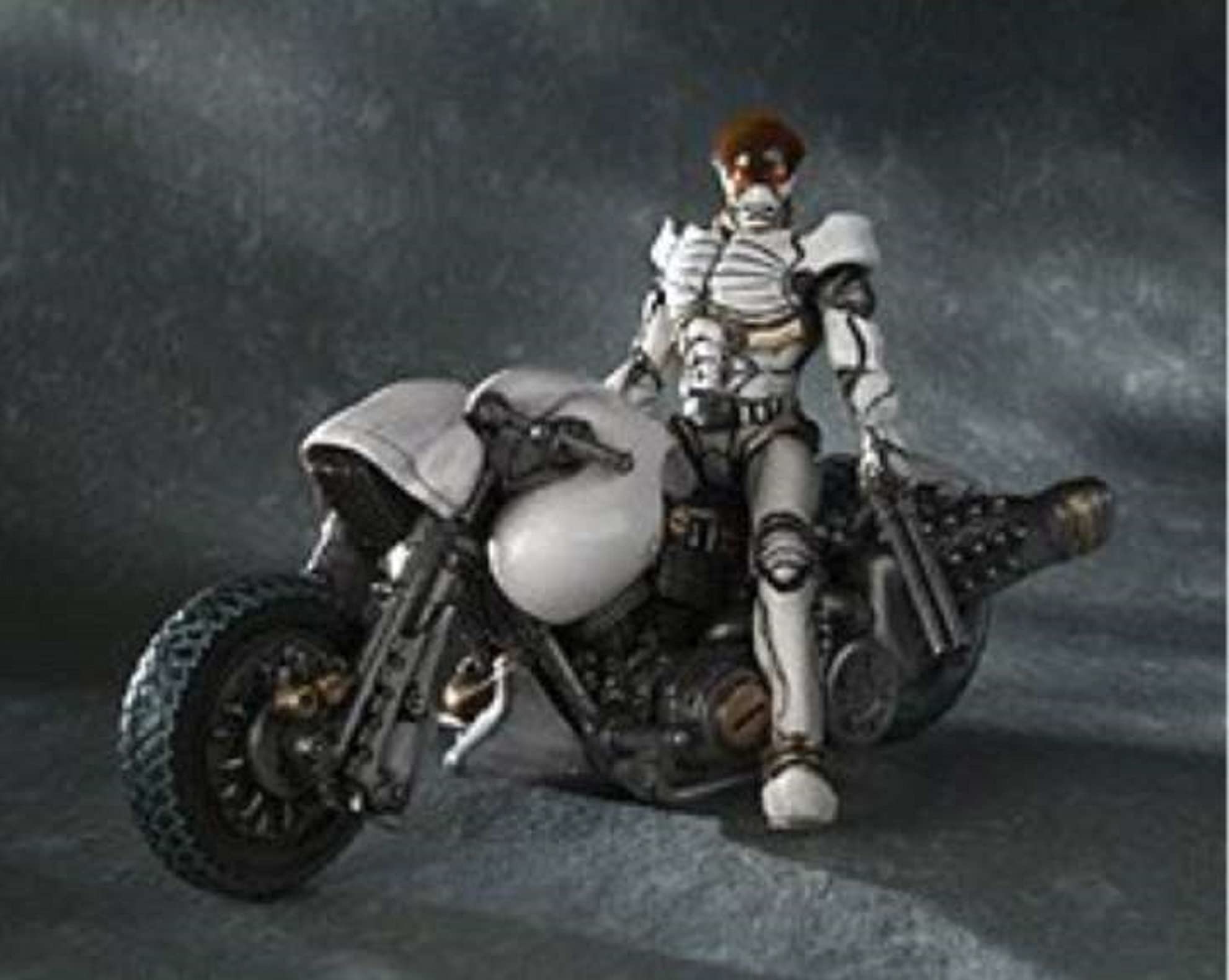 S.H.Figuartsキカイダー、キカイダー01、ハカイダー、白いカラスセット