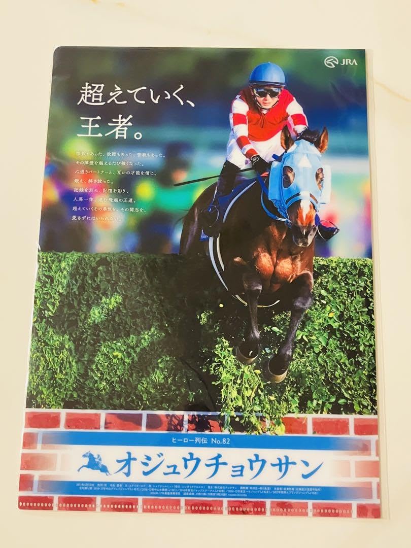 JRA ヒーロー列伝 クリアファイル 29枚(27種類)セット JRA ヒーロー