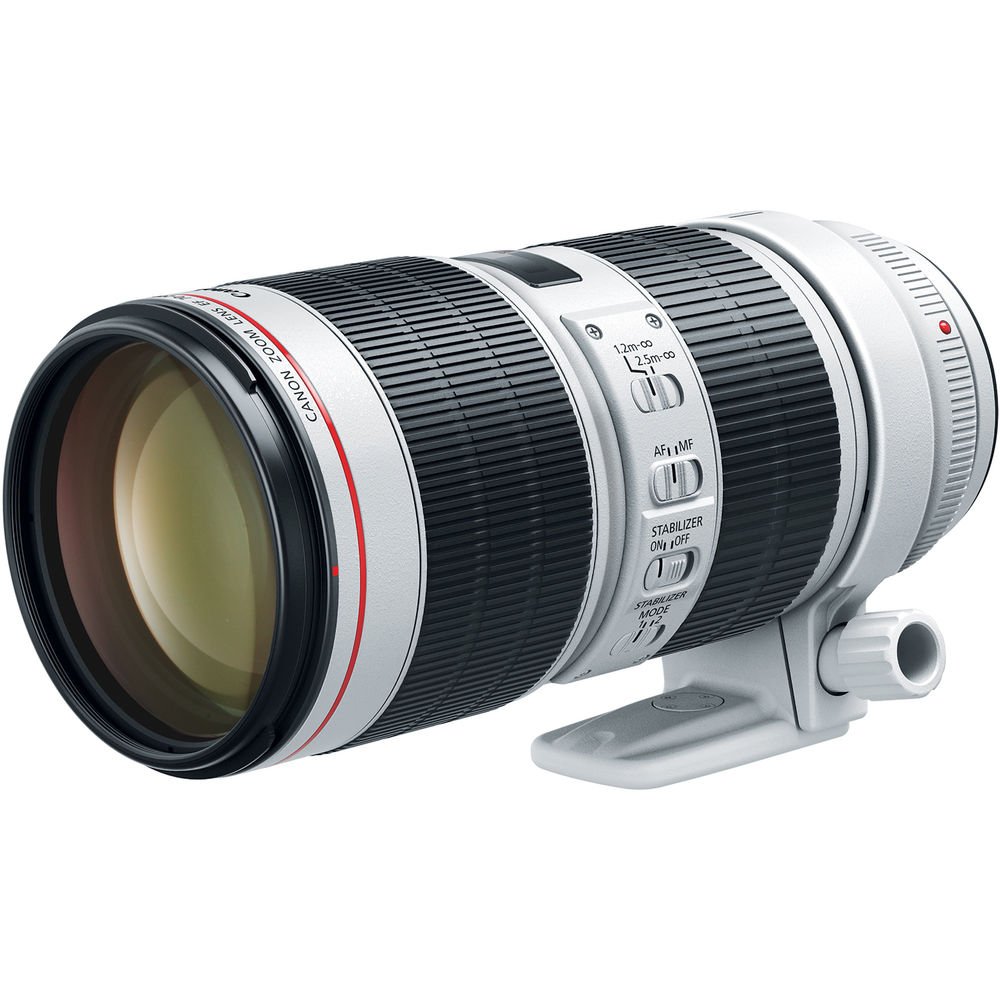 Amazon.com : Canon EF 70-200mm f2.8 L is III USM Telephoto Lens