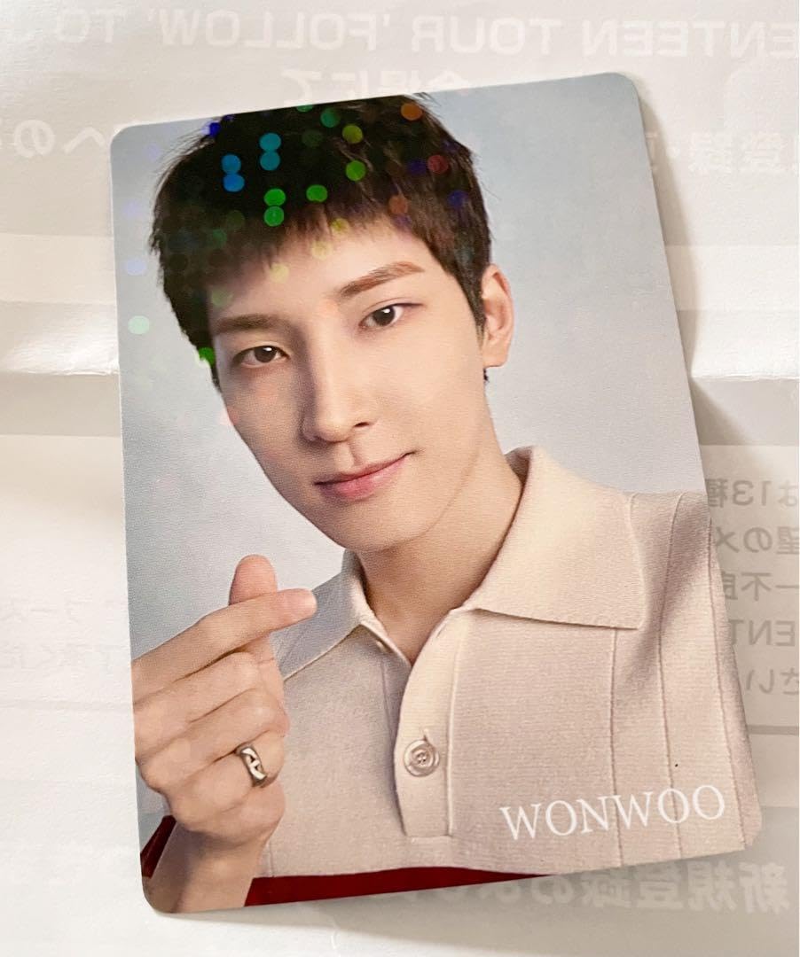 SEVENTEEN ウォヌ FC更新 特典 トレカ SEVENTEEN HOLIDAY CARAT 更新