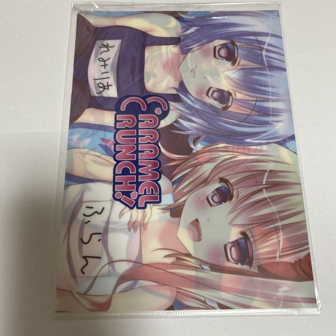 東方project かせん 水着 美少女 クリアファイル VY10 東方project か