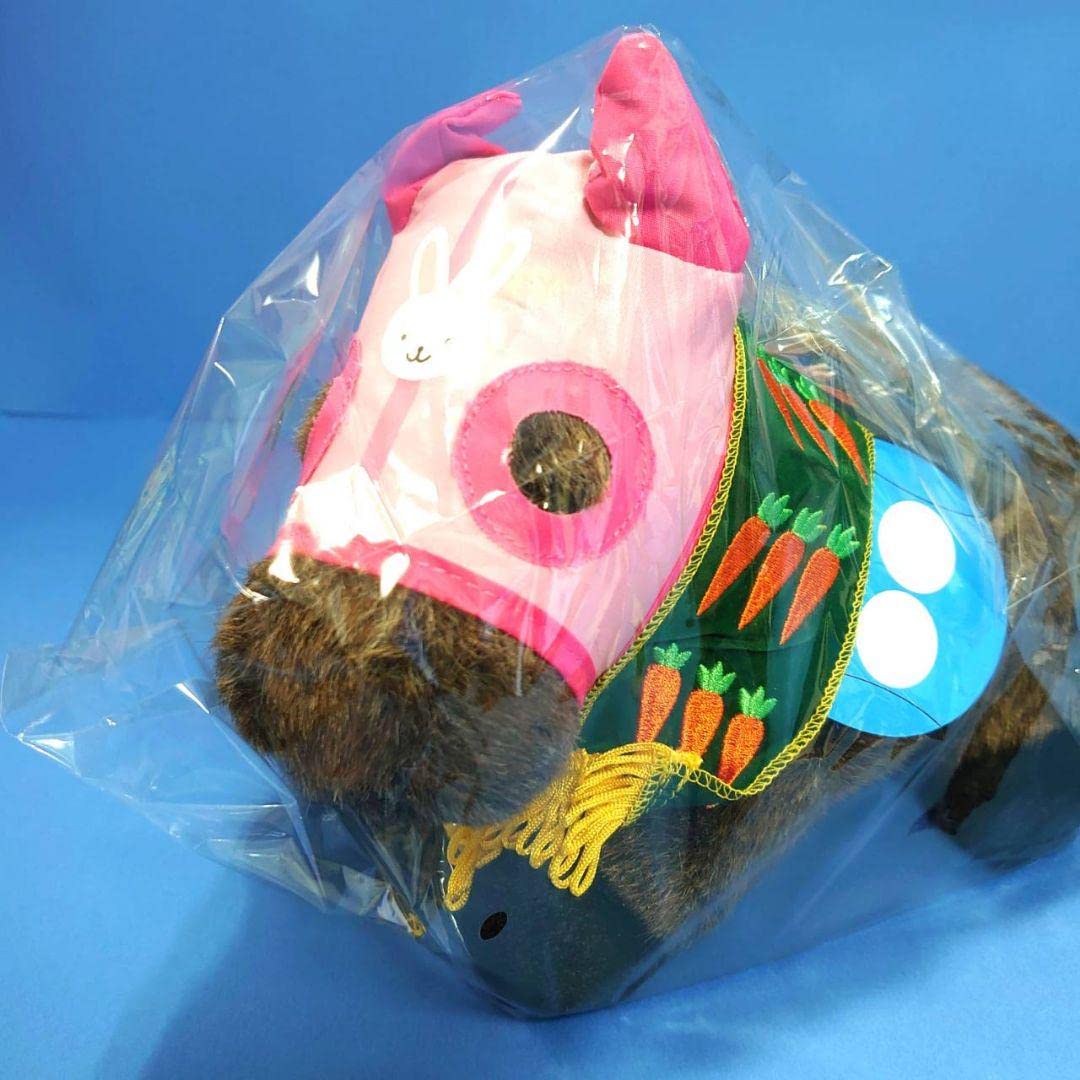 稀少品】ハルウララ 競馬 ぬいぐるみ ウマ娘 アイドルホース 馬 AVANTI