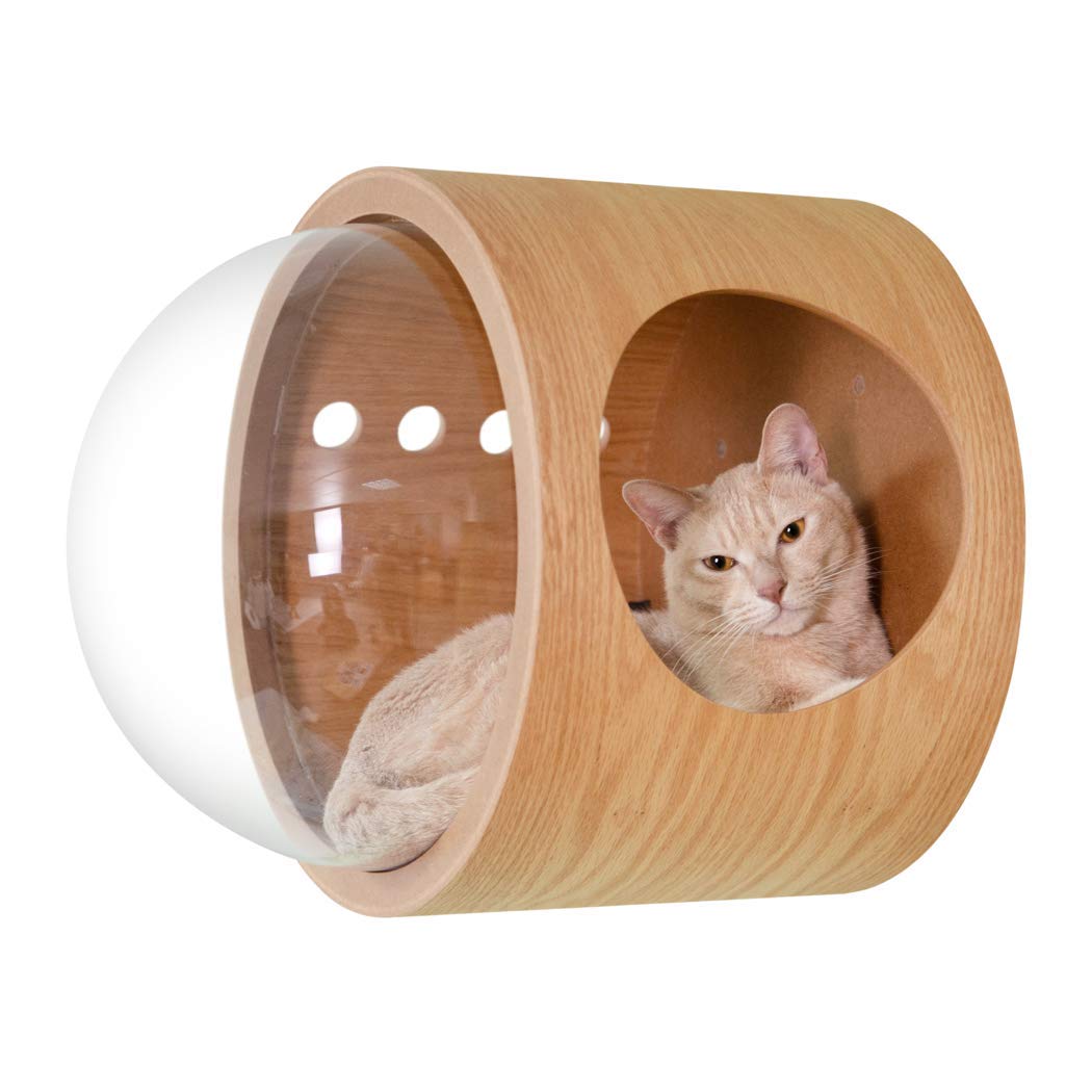 Amazon | MYZOO 宇宙船 猫ハウス ペット用ベッド ドーム状 壁付け対応