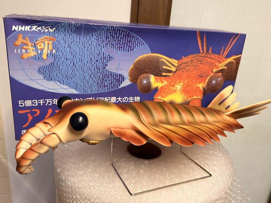 Amazon.co.jp: カンブリア紀 アノマロカリス フィギュア 化石 復元