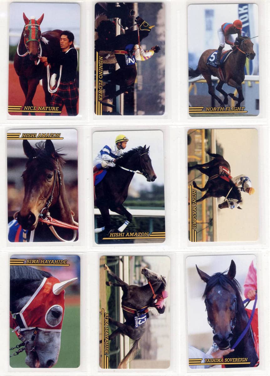 2026年最新まねき馬レインボーカードの人気アイテム まねき馬