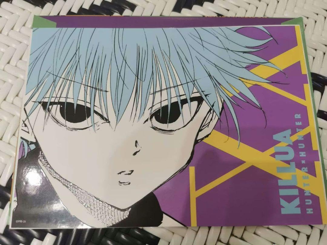 HUNTER×HUNTER カードコレクション エル No.11 イルミ 下敷き HUNTER