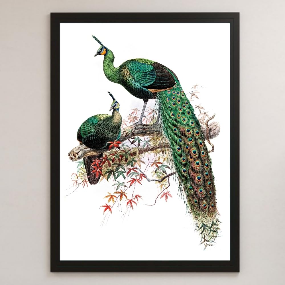 昭和レトロ 孔雀 花 花鳥 立体画 絵画 アート インテリア レトロ