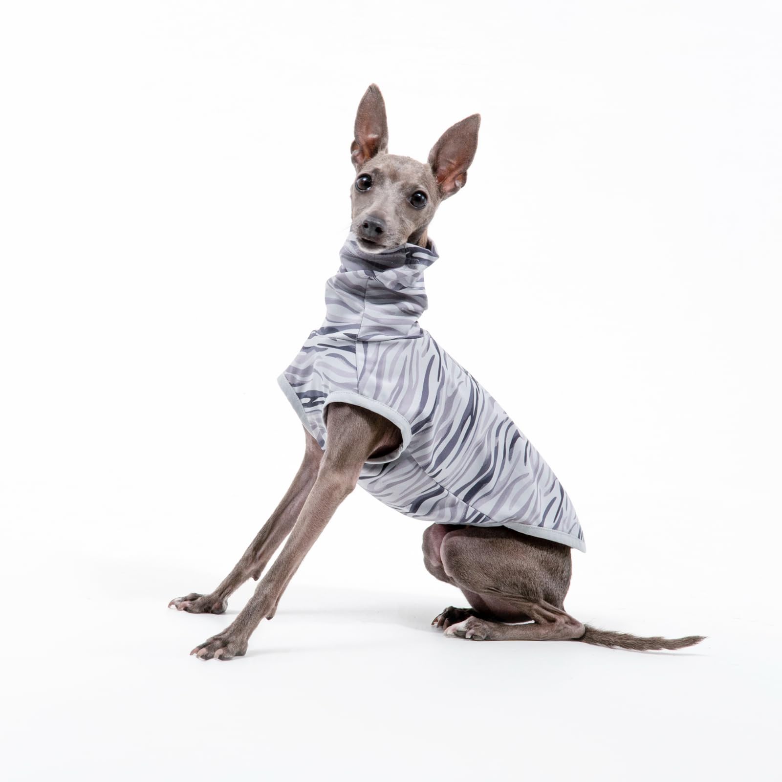 スプラッシュ柄フード付きタンクトップイタグレ服犬服