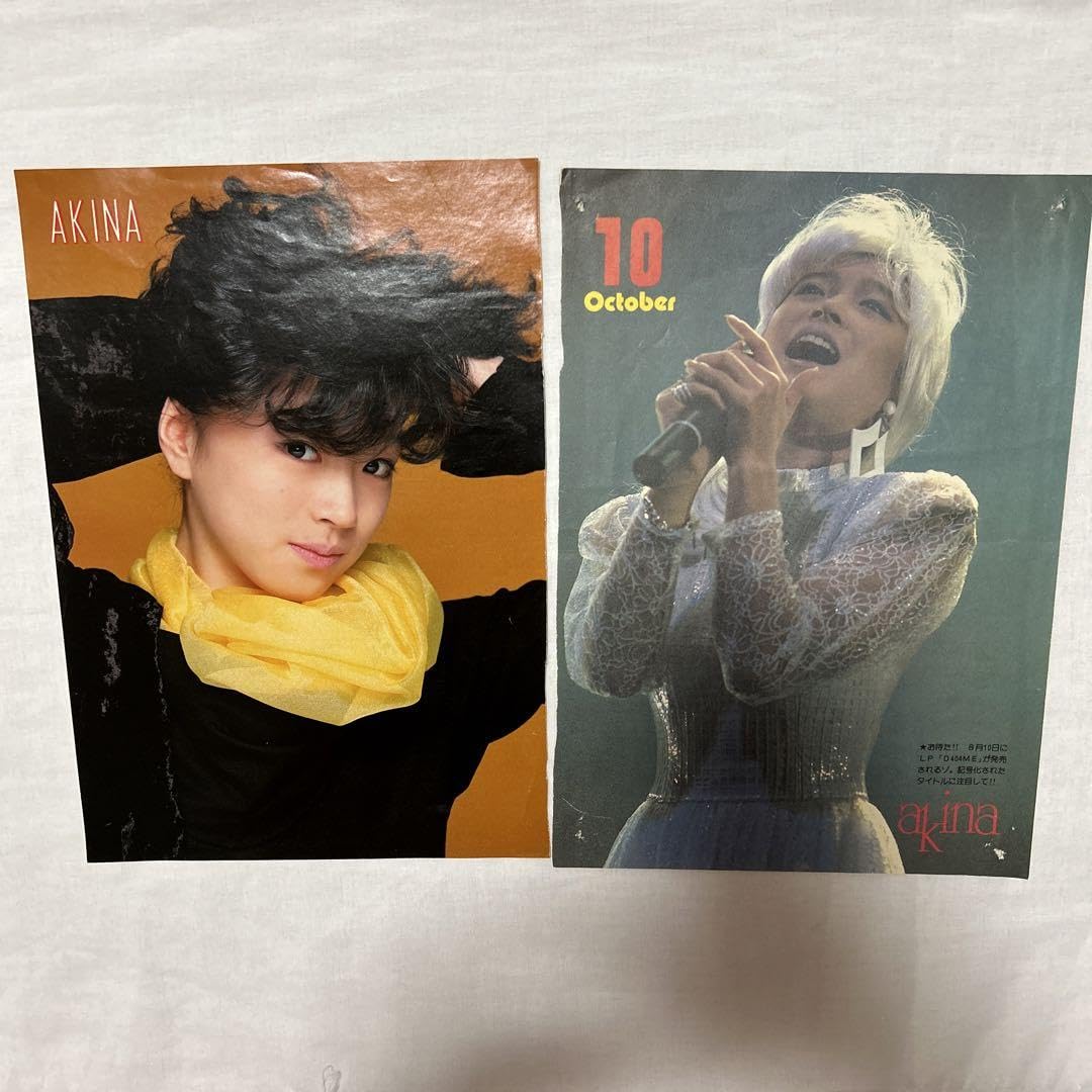 中森明菜【新品】ポスター カレンダーB1サイズ1030✕728cm ALDEA