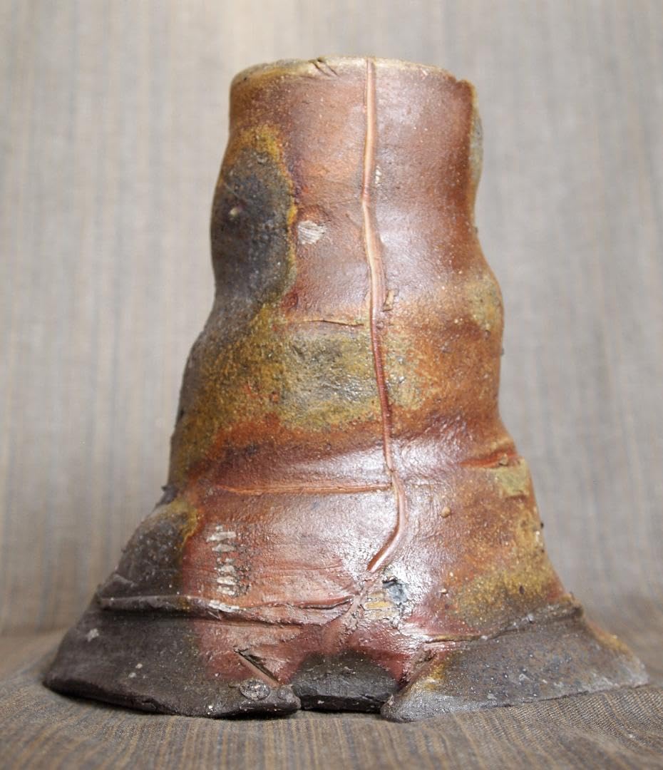 Amazon.co.jp: ジェフ・シャピロ師：伊勢崎淳焼き締め窯変花入共箱