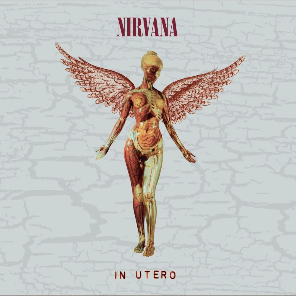 NIRVANA IN UTERO ANVIL MEDIUM