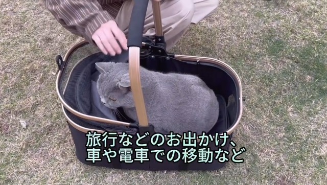 Amazon.co.jp: 【Amazon.co.jp限定】Bolinkerペットカート 2段 分離型