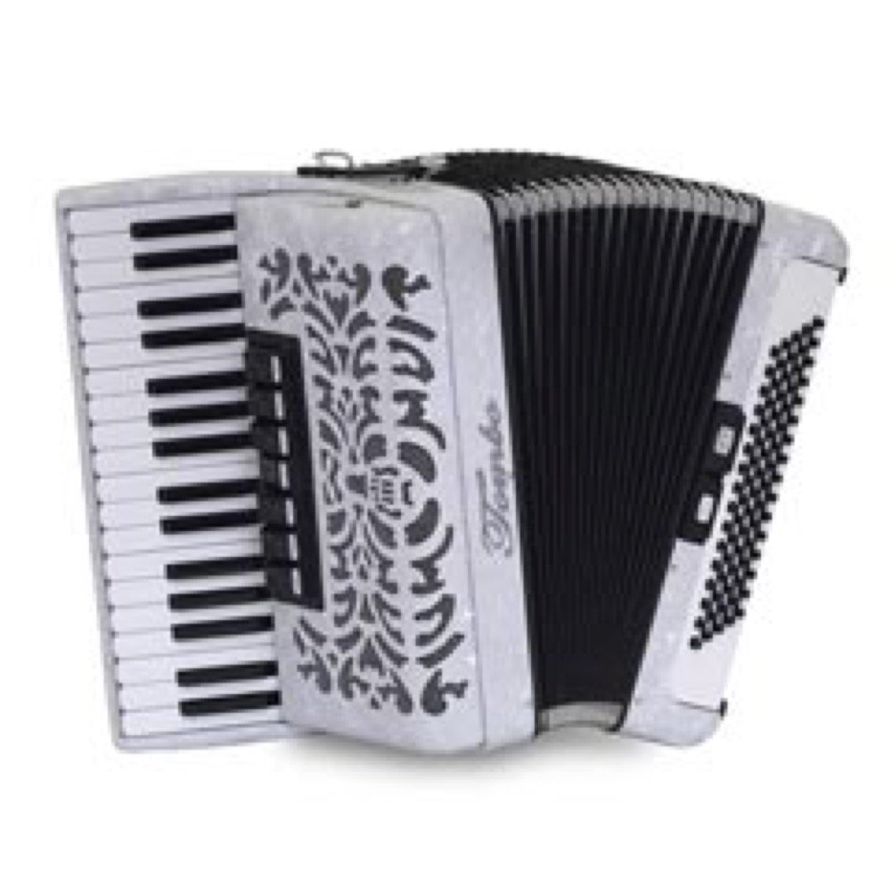 TOMBO アコーディオン T48 ハードケース付き TOMBO トンボ 34鍵