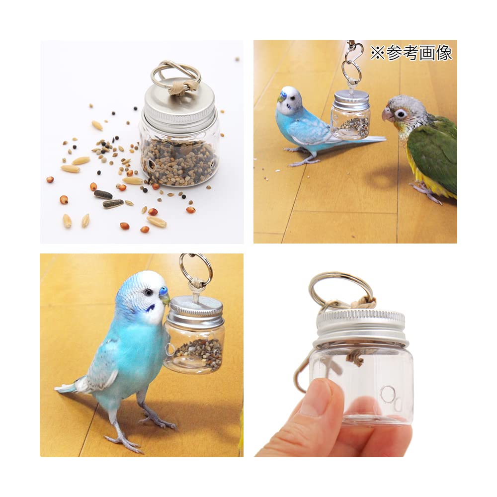 89⭐ミラーボードとフォージングトイセット⭐インコバードトイ