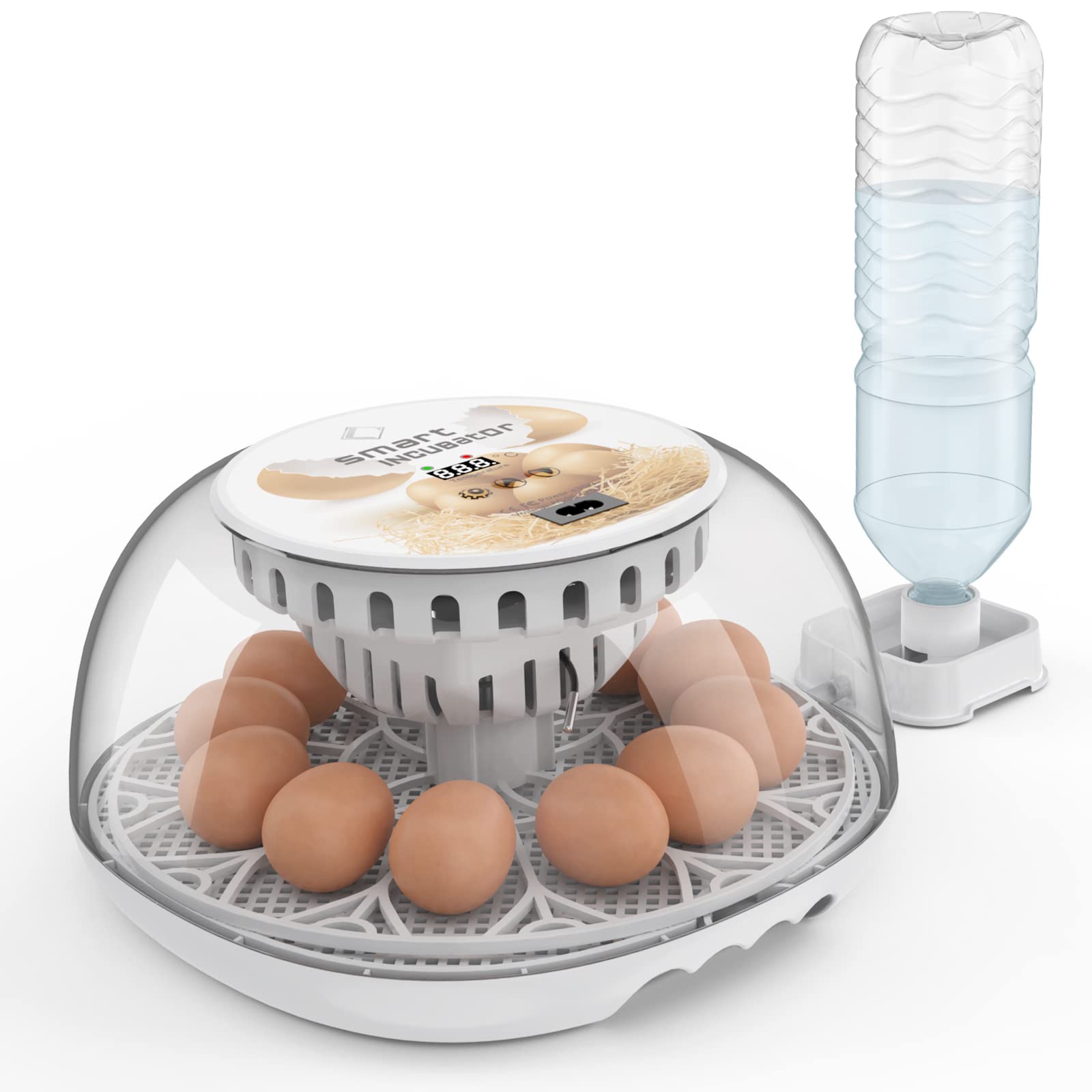 INCUBATOR自動孵卵器 透明蓋 検卵装置付き 自動転卵 ひよこ