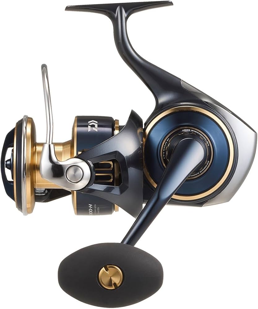 Amazon | ダイワ(DAIWA) SWスピニングリール 25SALTIGA(ソルティガ