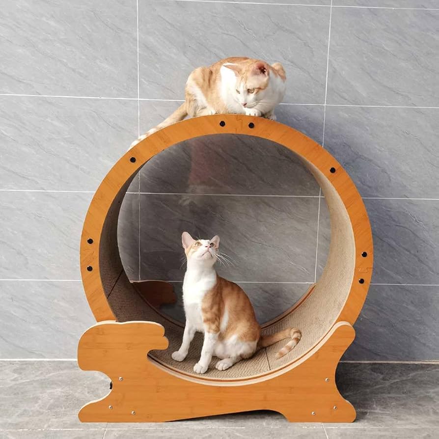Amazon.co.jp: キャットホイール 80cm 猫 回し車 猫 ランニング