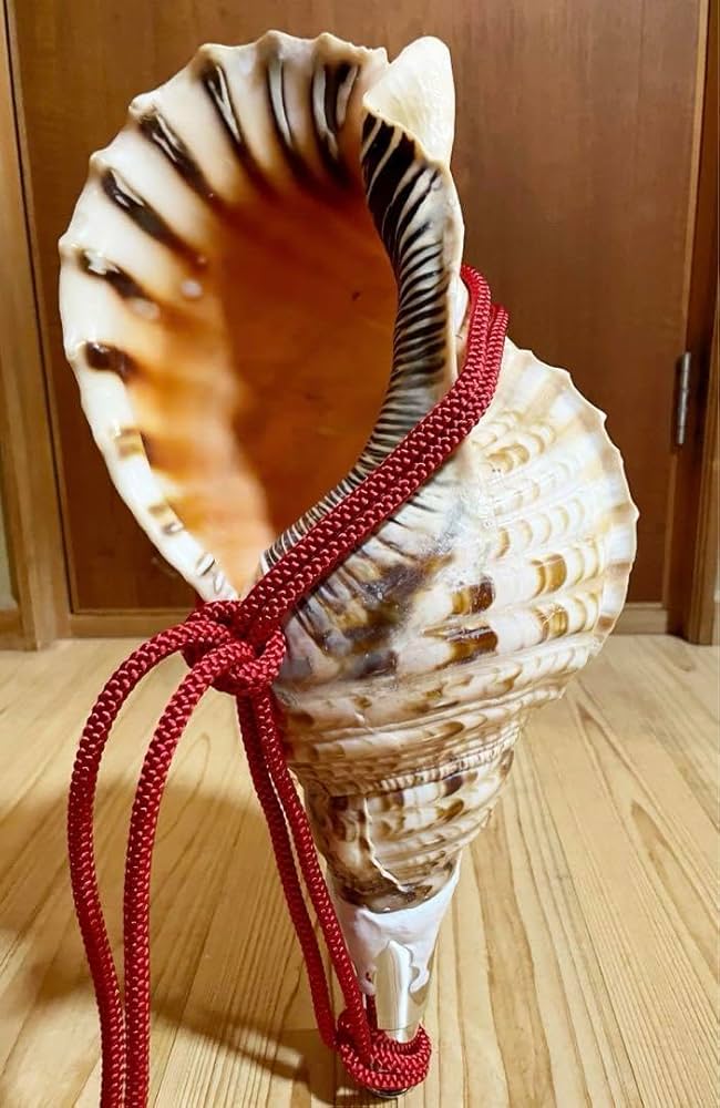クリスマスセール❗️修験道法螺貝34㎝ 山伏 熊よけ 魔除け