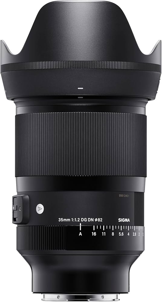 Amazon.com : Sigma 35mm F1.2 Art DG DN Lens for Sony E : Electronics