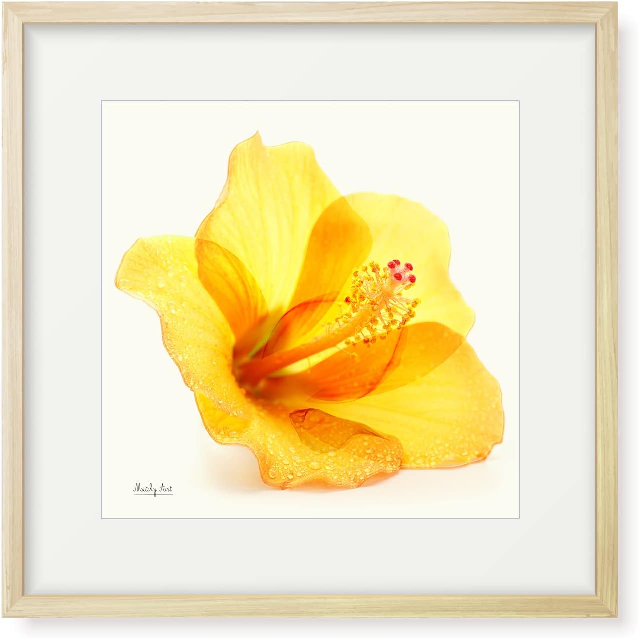 KAGAYA ガガヤ スコーピアス 蠍座 KAGAYA ガガヤ スコーピアス 蠍座