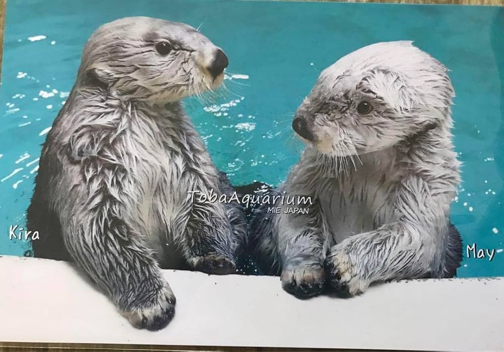 匿名配送】鳥羽水族館 TOBA AQUARIUMコレクションカード キラ 鳥羽