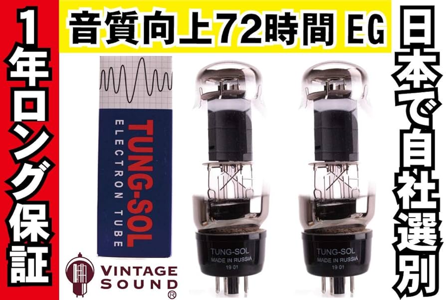 TUNG-SOL KT66 真空管 マッチドペア2本