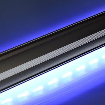 Amazon | ゼンスイ LED PLUS シャイニングブルー 120cm | ゼンスイ