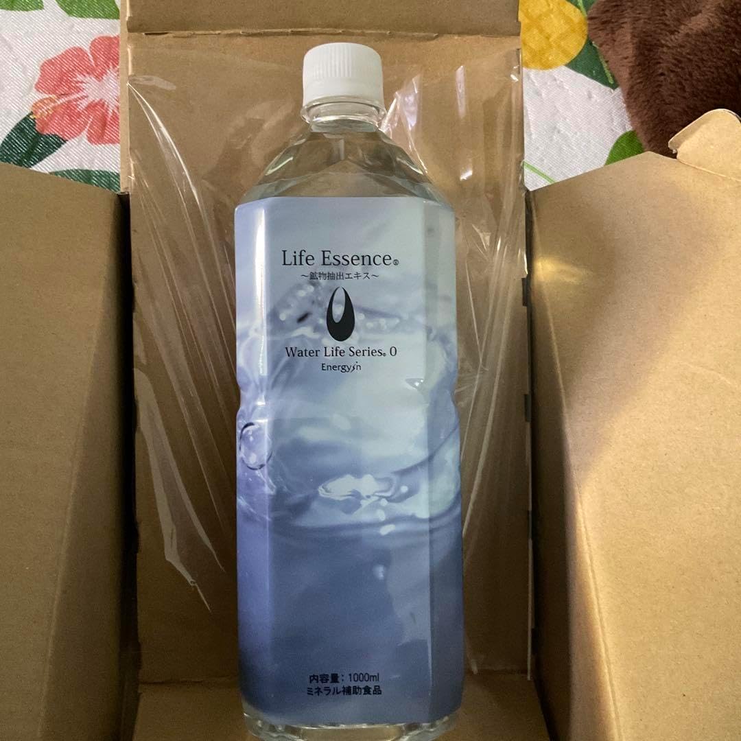 エコウォーター ライフエッセンス 600ml 2本【2027年9・10月】 エコ