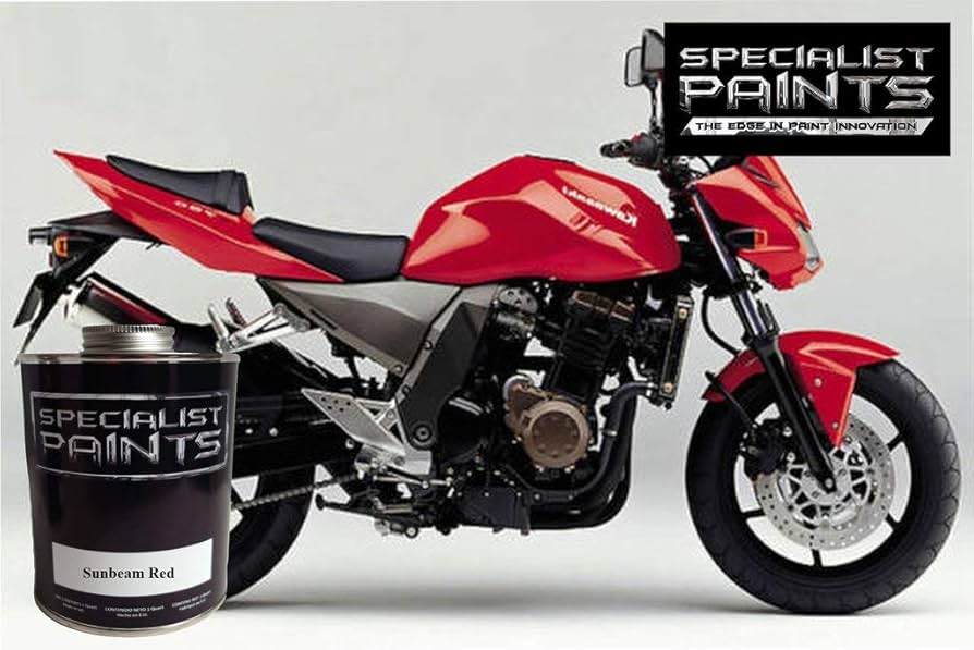 Amazon.com: Sunbeam Red - Pint Kit - Paint Code 22 - Compatible