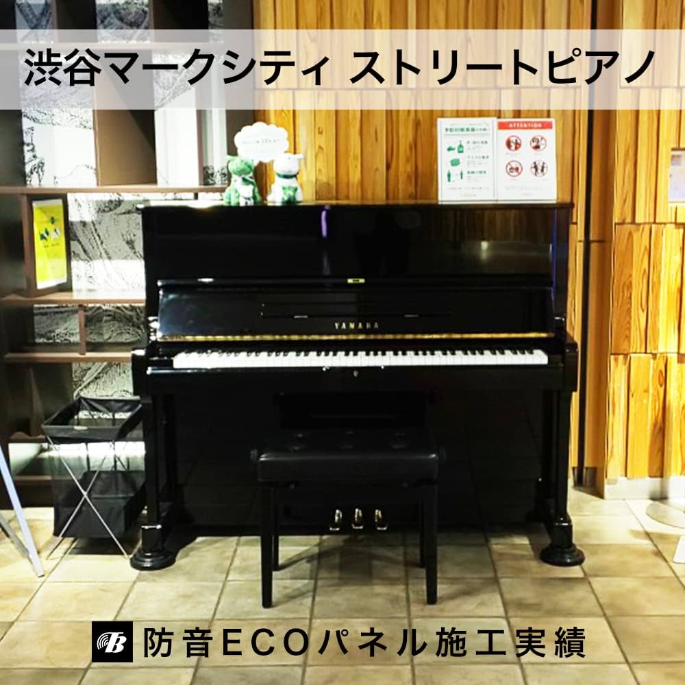 Amazon.co.jp: 東京防音 防音ECOパネル アップライトピアノ用 TSP-2100