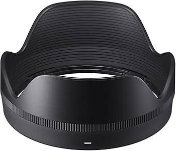 Amazon.co.jp: シグマ(Sigma) レンズ 16mm F1.4 DC DN Sony ソニー E