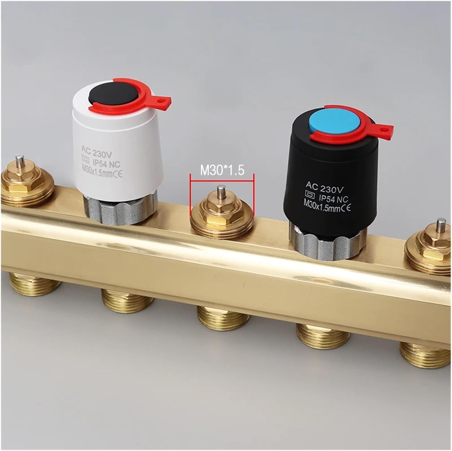 蔵整理品 中国清時代掛け軸 書道肉筆 骨董品I1557A13-1 蔵整理品 中国