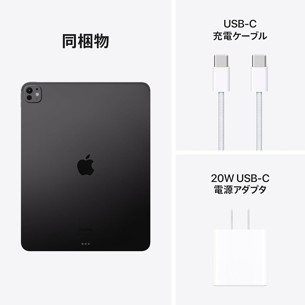 iPad Pro 13インチ M4 WiFi 256GB シルバー ジャンク iPad Pro (M4