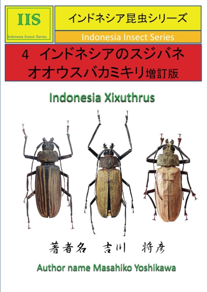 世界のウスバ「5種」 【公式通販】