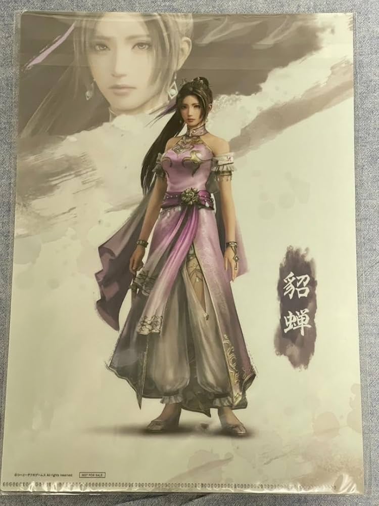 三國無双8 無双OROCHI3 クリアファイル ルーズリーフ 三國無双8 無双