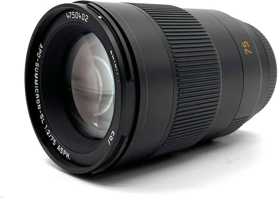 Amazon.com : Leica APO-SUMMICRON-SL 75mm f/2 Aspherical Lens for