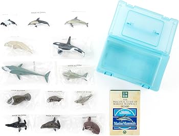 Amazon.co.jp: カロラータ 海の生き物 立体図鑑 (クジラ イルカ ラッコ