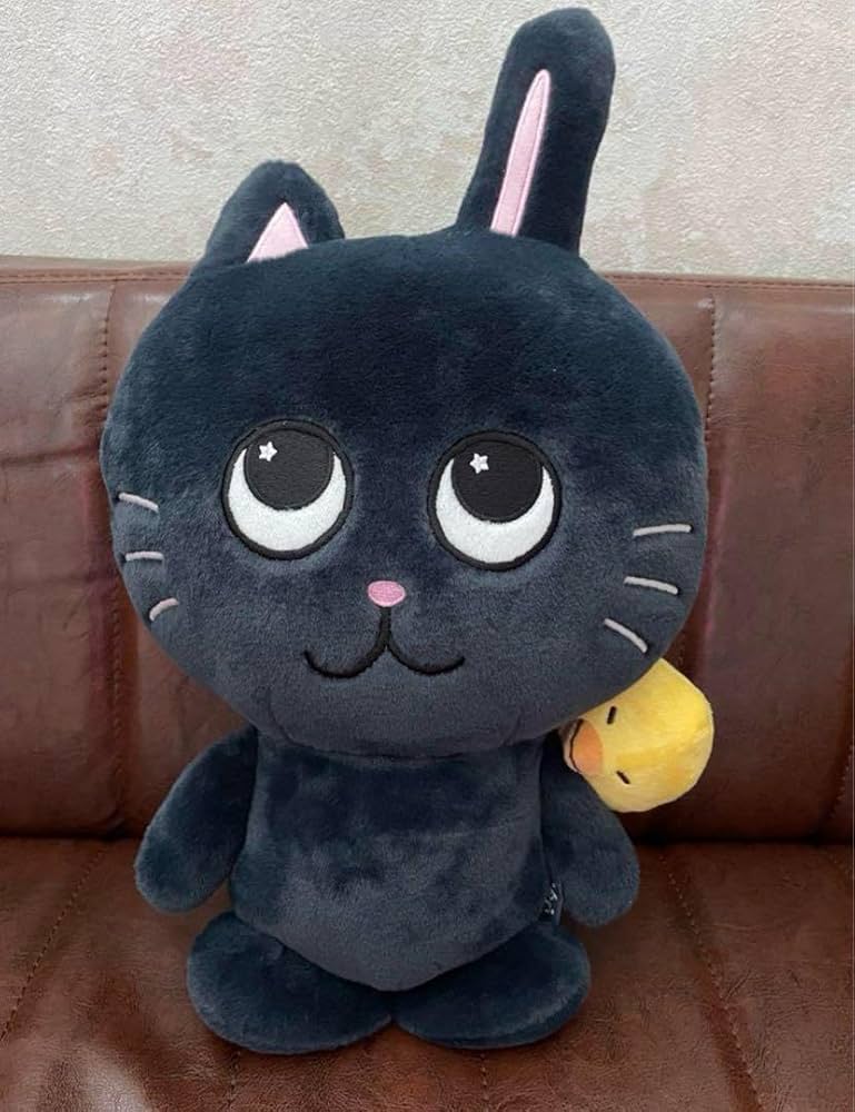 トニャンドク ぬいぐるみ 40cm Amazon.co.jp: RIIZE ウォンビン