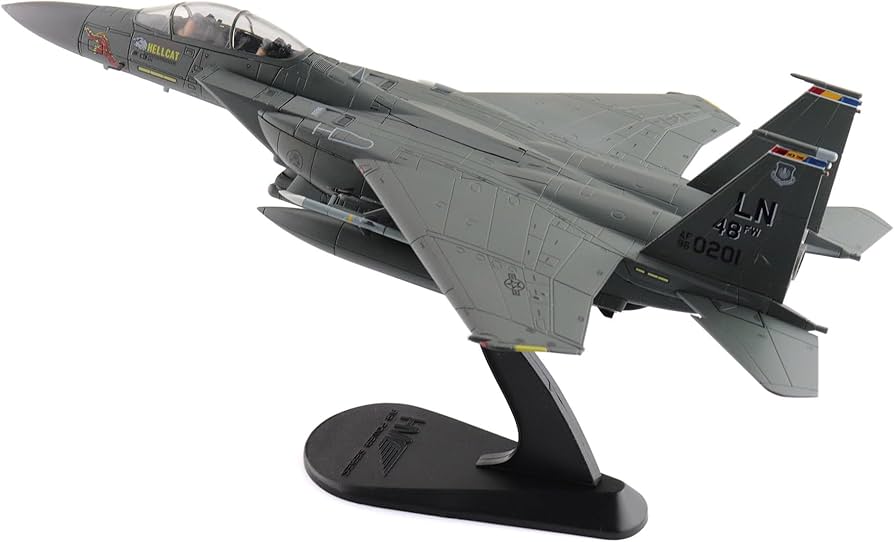 技mix アメリカ空軍 F-15E 第494戦闘飛行隊(レイクンヒース) 技mix