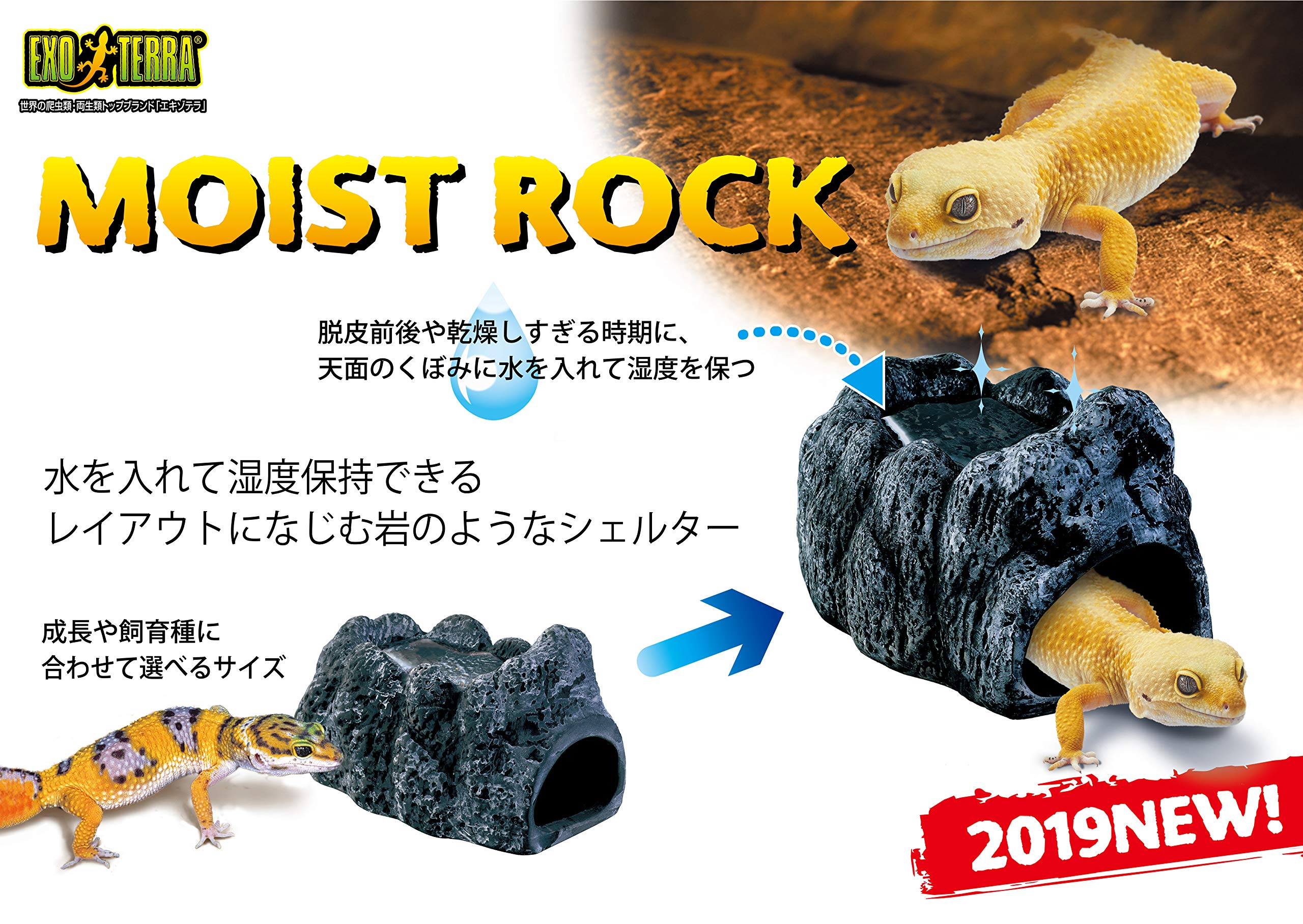 Amazon.co.jp: GEX EXOTERRA モイストロック200 PT3173 爬虫類用