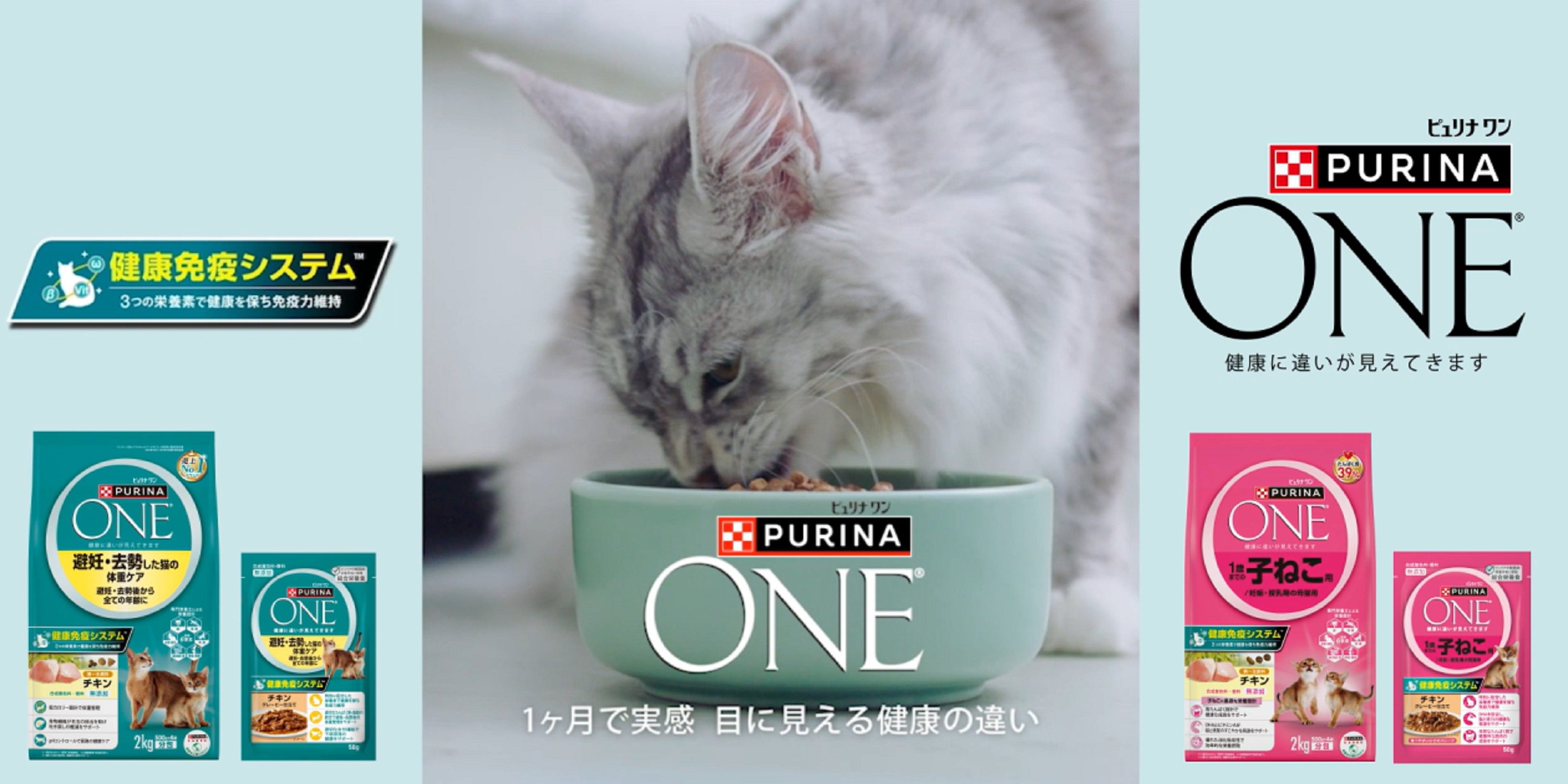 Amazon | ピュリナワンキャット 美味を求める成猫用 1歳以上 サーモン