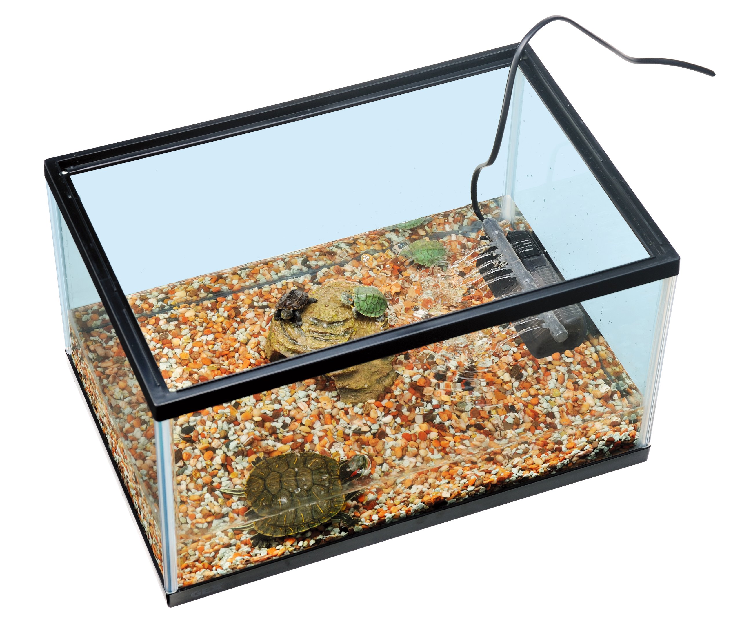 Amazon | ジェックス カメの楽園450 | GEX | 飼育ケース・ケージ 通販