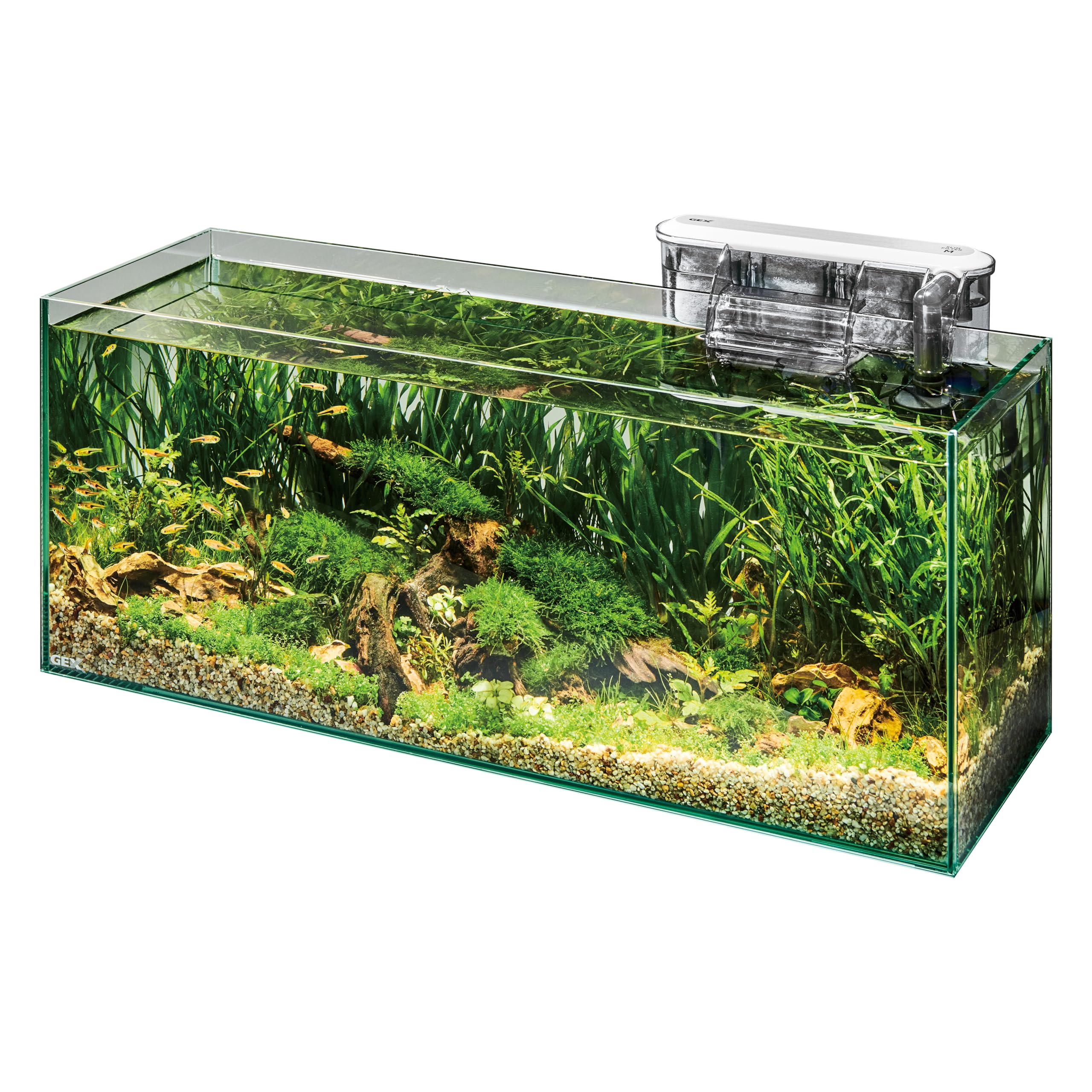 ジェックス グラステリア TS600－GC グラスカスタムセット水槽