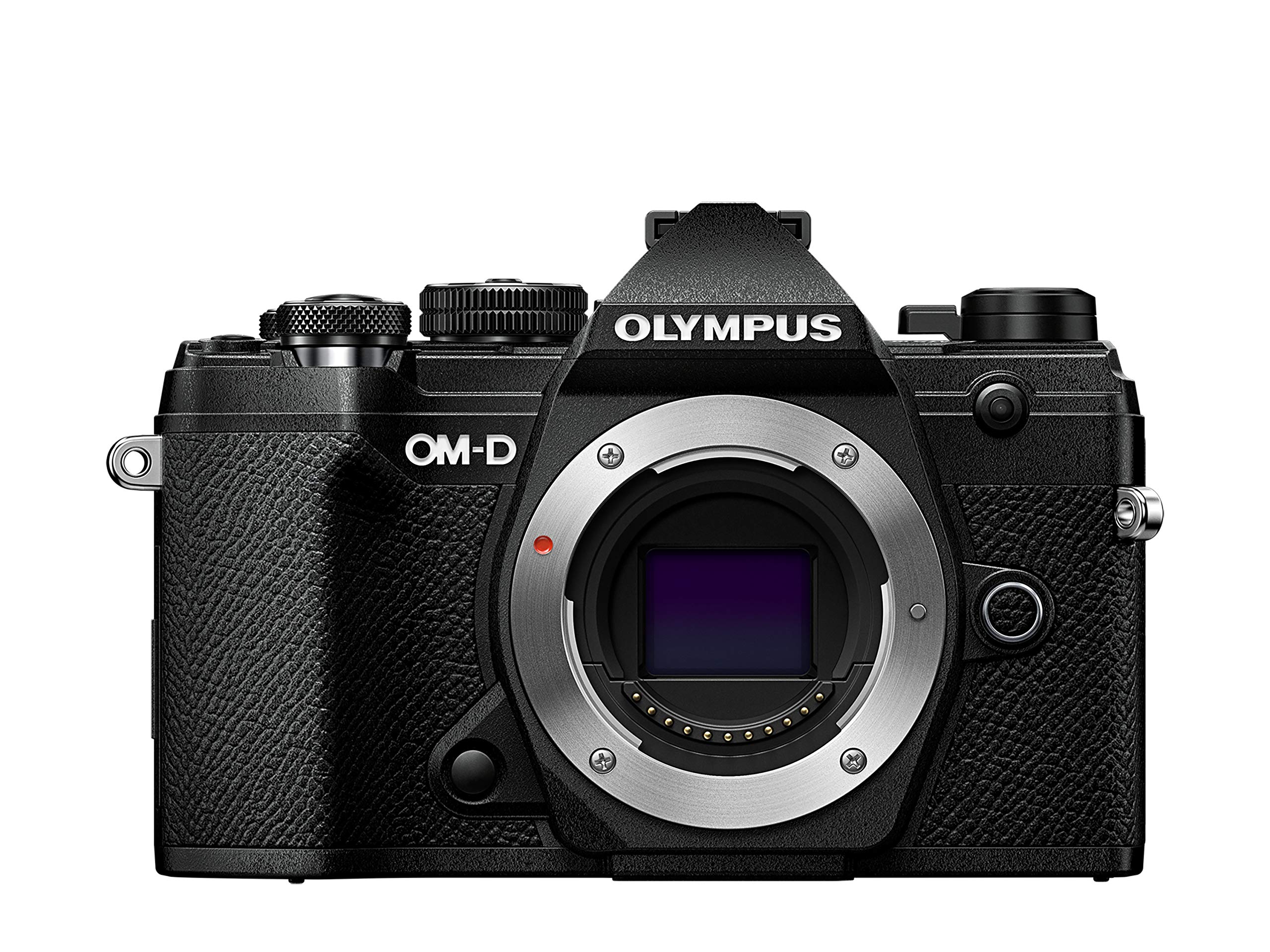 動作確認済】オリンパス OM-D EM-5 ボディ＋付属品+ホルダー