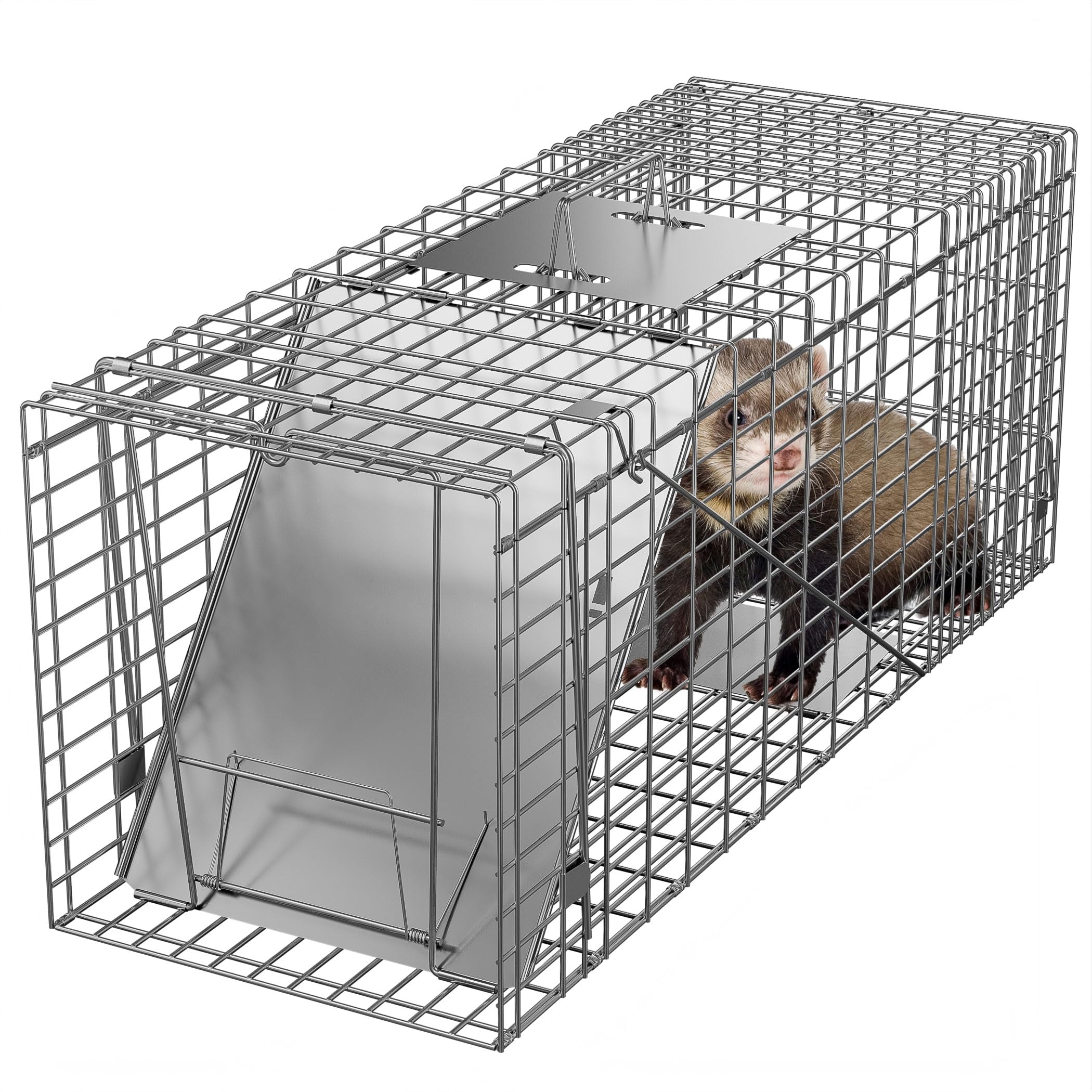 Amazon | ZENY 動物用捕獲器 猫 捕獲機 保護器 アニマルトラップ 鉄扉