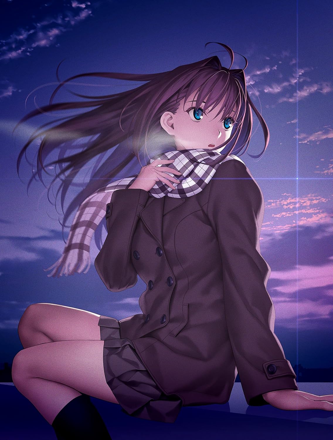 TYPE-MOON 10周年記念タペストリー 月姫×魔法使いの夜×Fate 魔法使いの