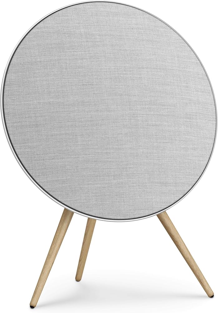 Amazon.com: Bang & Olufsen Beosound A9 (5th Generation) - Iconic