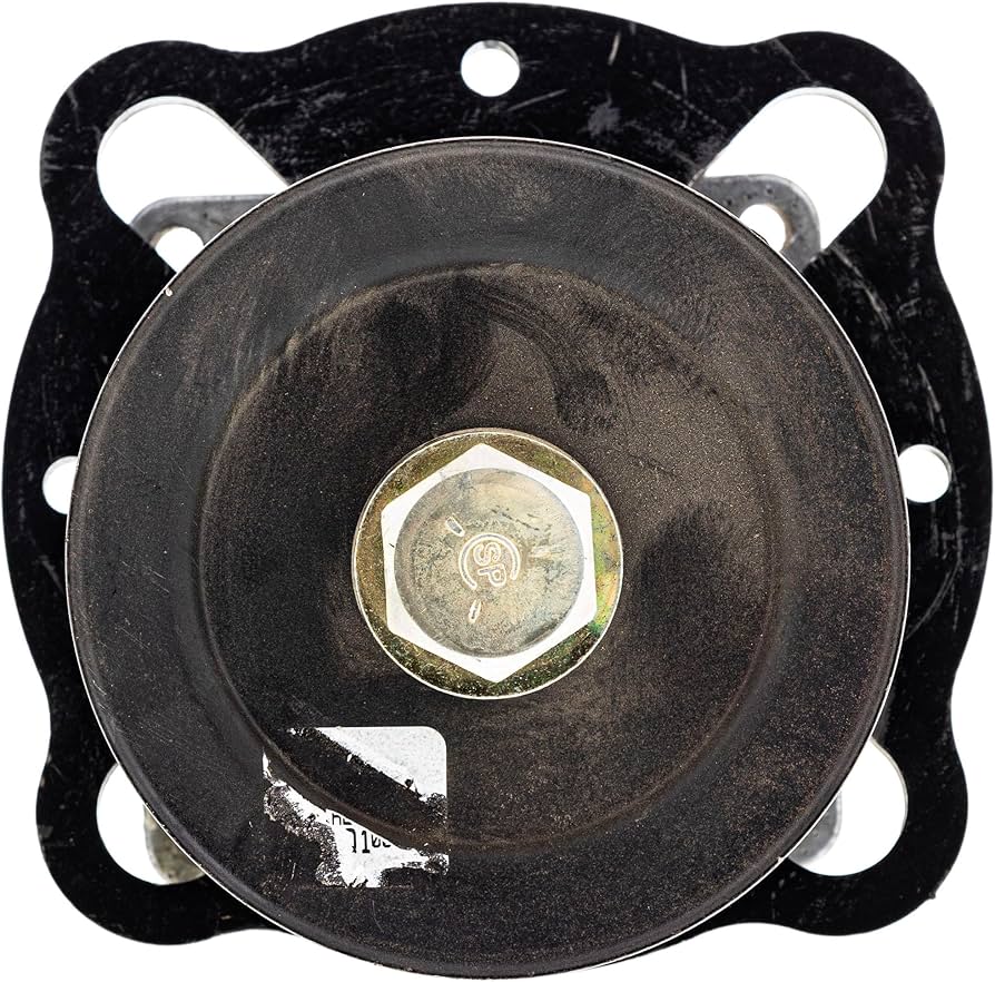 Amazon.com : CUB CADET 918-07256 Spindle Assembly 48